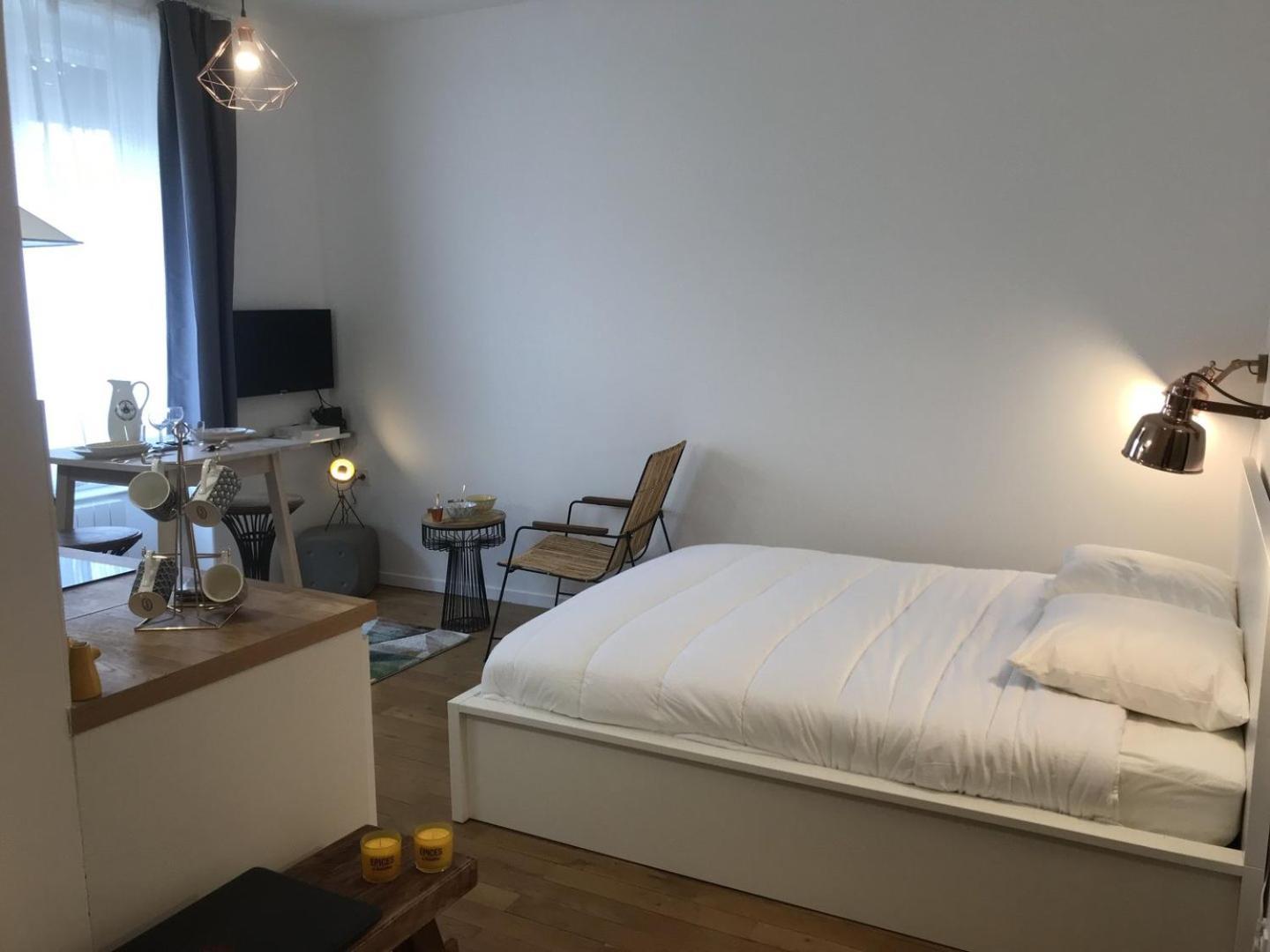 La Suite De Leon Appartement D - Lyon Garibaldi المظهر الخارجي الصورة
